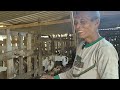 Cuma Di Sini Breeding Ala Pak RT, Kerja Ringan Tapi Kambing Kenyang