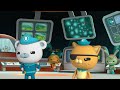 @Octonauts - 🐻‍❄️🐙 ANIMAL Ocean Rescue Team GO! ⛑️🛟 | 3 Hours+ Full Episodes Marathon