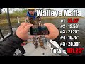 Fishing for BIG Walleye in a Tournament!