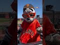 Lou seal #sfgiants #mascot #halloffame https://mascothalloffame.com/