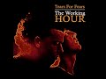 Tears For Fears - The Working Hour - Rare Live Version
