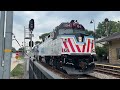 Metra Trains in South and West Chicagoland