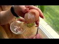 come peel a raw egg with me : )
