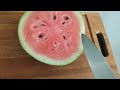 How to grow melons from seeds