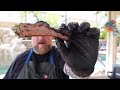 NINJA WOODFIRE GRILL SMOKED BEEF BACK RIBS!