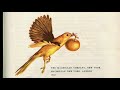 The Golden Bird by The Brothers Grimm | Full Audiobook | Classroom Edition