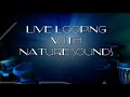 Lost n Nature - Live Looping By Multi Instrumentalist - INDRAJIT