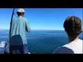 Cobia, King Mackerel, Mahi, Oregon Inlet NC