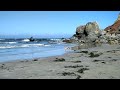 Rascal and Scout running around on Dillon Beach