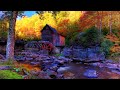 Relaxing Mountain River in Autumn with Birds Songs 4K UHD