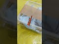 Monocentropus Balfouri Unboxing (First steps on Youtoube)