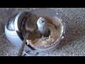 Easy homemade peanut butter