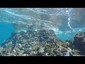 Maui Snorkling Under Black Rock