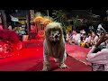 Barong Ayu Lendris - Pura Anyar Sangeh 2024