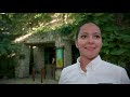 GRUPO XCARET: THE EVOLUTION | Grupo Xcaret, Parks & tours in Cancun, Mexico.