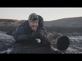 How to photograph shorebirds in the winter // Bird photography at the coast