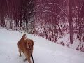 Sachem Piper Plays in Wind & Snow