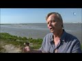 Baie de Somme : une des plus belles colonies de spatules en France