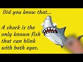 Amazing Animal Fun Facts