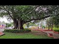 😀Un día en la ciudad de oaxaca y quiero mostrarles este hermoso Jardín 💚