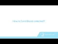 Karen%20Taylor%20What%20is%20Cord%20Blood HD