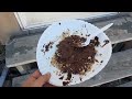 Outdoor Cooking | Easy Chocolate Bark