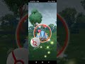 Pokemon Go- Mega Swampert Remote Raid