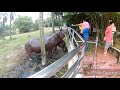 1st Video | Sunmori from Putrajaya to Paya Indah Wetlands