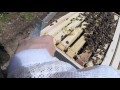 Beginner Beekeeper: uh-oh, wrong size deep