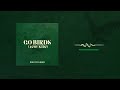 Holdyn Barder - Go Birds (Acoustic) (Official Audio)