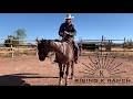 How to Handle the Reins- Beginner Horseback Riding