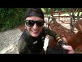 Scuba Diving the Devil's Den Prehistoric Spring for Lost Valuables! (Metal Detecting Underwater)