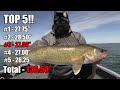 Crazy Day of Walleye Fishing | So many BIG Walleye!