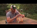 How To Dehydrate Your Own Meals for Backcountry Hunting, Camping & More