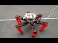 Lateral view of fast walk of the AntBot hexapod robot (© Julien Dupeyroux and Ilya Brodoline, 2022)