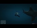 Theft Auto V/ Shark Encounter