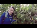 Hiking Australia - Mt Sorrow, Daintree Rainforest