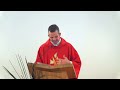 What is true for Jesus is true for you! Fr Dan's homily for Palm Sunday