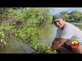 pescaria de curral  num lugar bonito e pegamos peixe