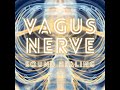 Vagus Nerve Sound Healing