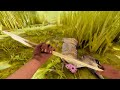 3 Minutes of Pteranodon 2: Primal Island Gameplay!