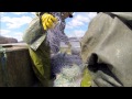 Asian Carp Processing Plant in Kentucky