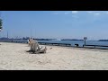 Sugar Beach in Toronto, Canada | Our visit in Toronto | Travel vlog