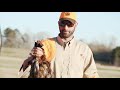 Upland: Pheasant Hunting with Bird Dogs