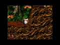 DKC2: Diddy's Kong Quest - The Lost World
