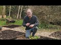 Garden Expert: 35 Years of Gardening Lessons in 12 Minutes