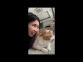 Funniest Animals 🐧 - Best Of The Week Funny Dogs And Cats Videos 😁 E02