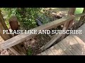 Historic Grist Mill #history #historical #Mill #gristmill ##gopro #shortvideo #shorts #short