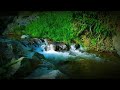 Natural Forest River Sounds Flowing over rock for Relaxing - Gentle Stream River Sounds For Sleeping