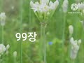 시편낭송 91장~100장